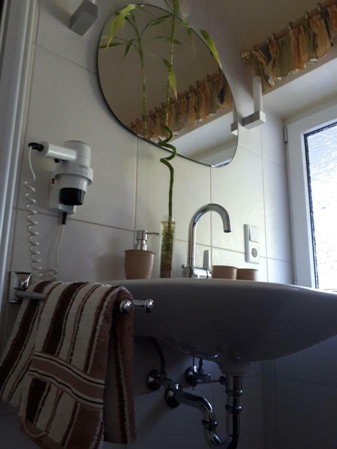 Apartmenthaus Sonnenschein 温特贝格 外观 照片