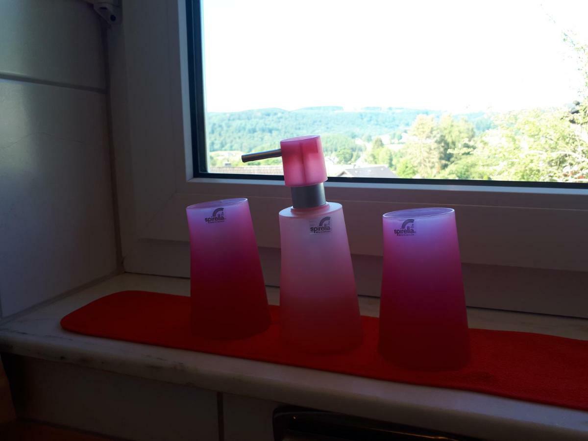 Apartmenthaus Sonnenschein 温特贝格 外观 照片