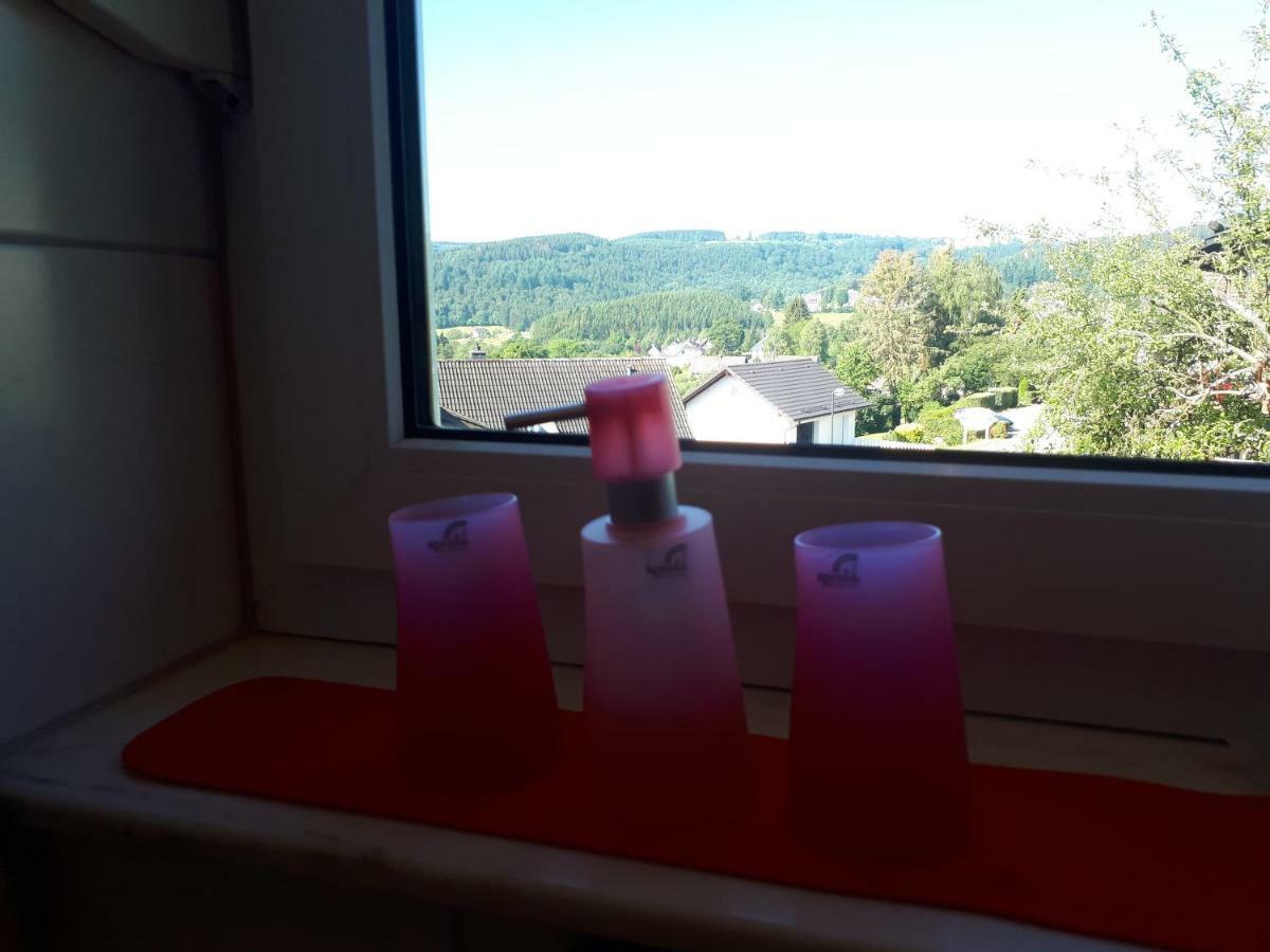 Apartmenthaus Sonnenschein 温特贝格 外观 照片